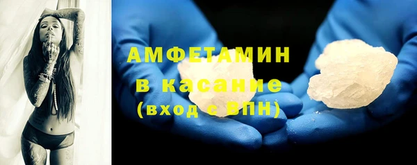 хмурый Белокуриха