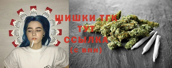 хмурый Белокуриха