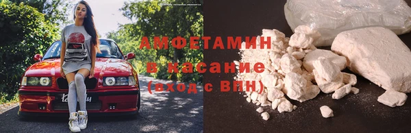 хмурый Белокуриха